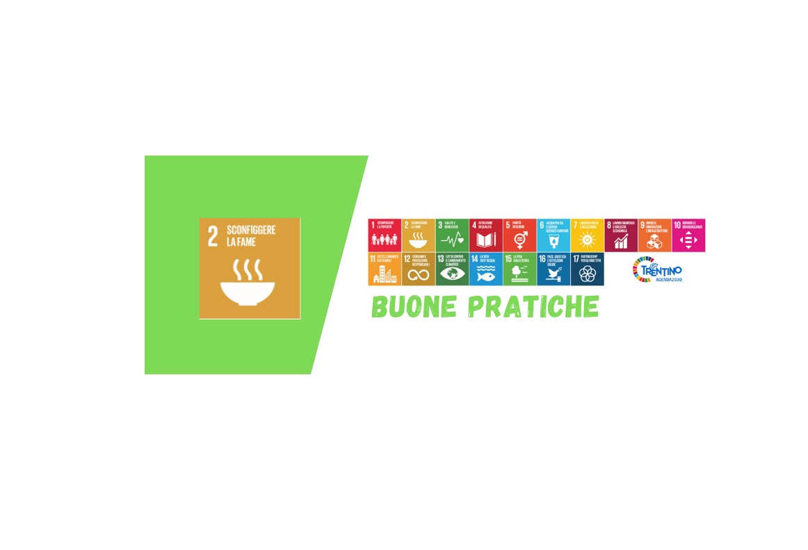 Goal 2 Sconfiggere La Fame Agenda 2030