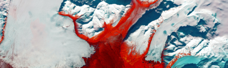 5. Cambiamenti climatici e degrado ambientale