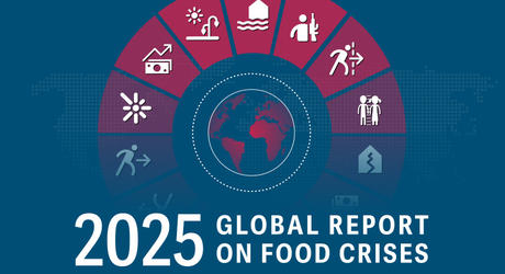 2025 Global report on food crises - 2025 Rapporto Globale sulle crisi alimentari 